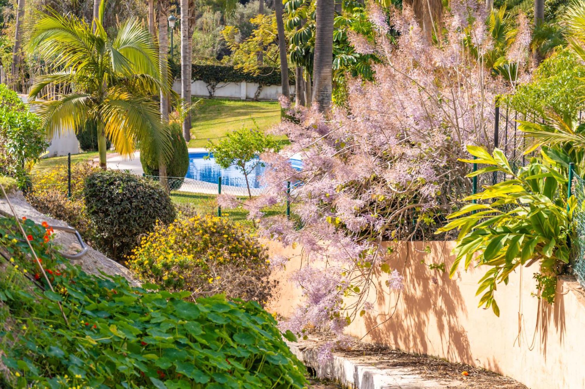 Palmas 15c Oasis Apartment Nerja